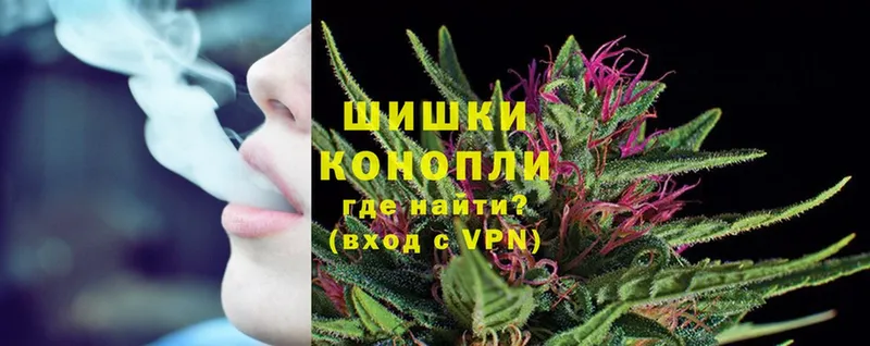 Бошки Шишки THC 21%  как найти закладки  Заозёрск 